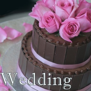 Wedding Music - Wedding Music Planner (Music Selection for Your Perfect Wedding Reception)