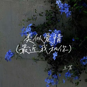 类似爱情(最近我和你)