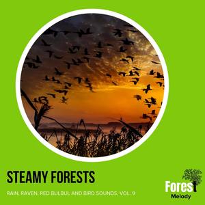 Steamy Forests - Rain, Raven, Red Bulbul and Bird Sounds, Vol. 9