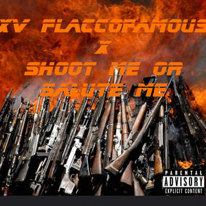 Shoot Me Or Salute Me (Explicit)