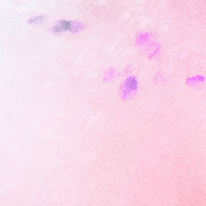 웜코튼 (WARM COTTON)