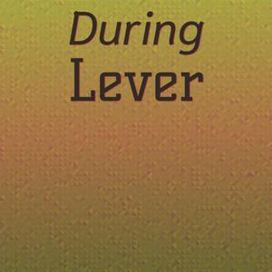 During Lever