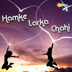 Hamke Larka Chahi