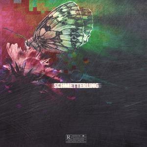 Schmetterling (Explicit)