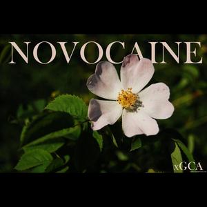 NOVOCAINE