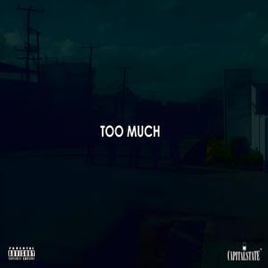 Too Much (feat. Priceless) [Explicit]