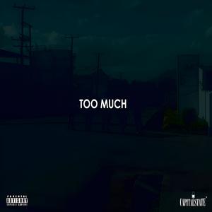 Too Much (feat. Priceless) (Explicit)