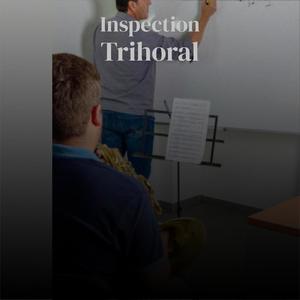 Inspection Trihoral