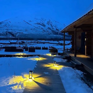 我得到了你想要的 (DJ旋律版)