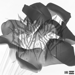 Kimi no Sweet Reimagined (Explicit)