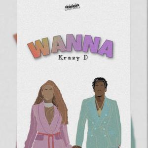 Wanna (Explicit)