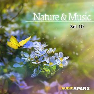 Nature & Music, Set 10