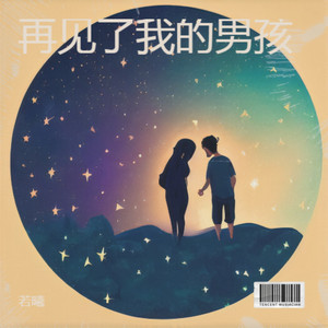 再见了我的男孩