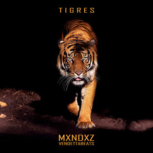 TIGRES (Explicit)