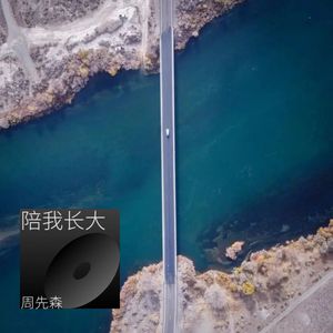 陪我长大 (翻奏: 段奥娟)封面