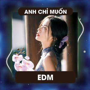 Em Chỉ Muốn (Remix)