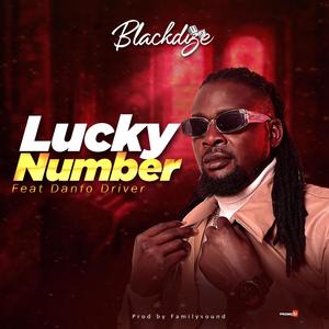 Lucky Number (feat. Danfo Driver)