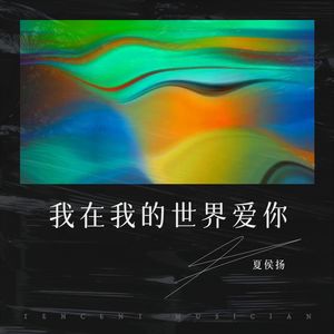 我在我的世界爱你