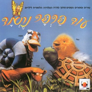 גרגרים וזרעונים