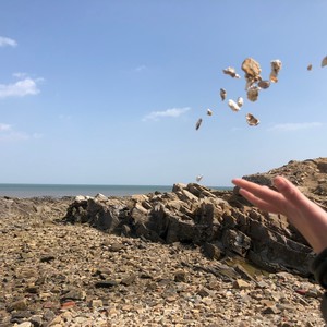 追不上的理想