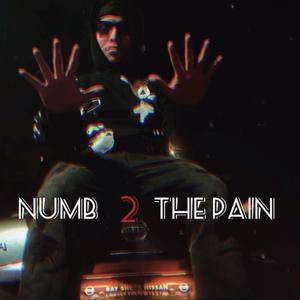Numb 2 The Pain (Explicit)