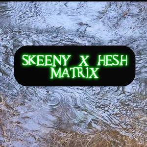 Matrix (feat. Skeeny) (Explicit)