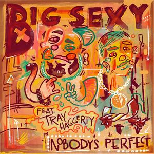 Nobody's Perfect (feat. Tray Haggerty) (Explicit)
