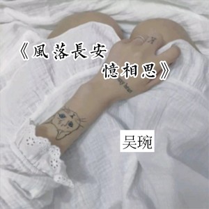 风落长安忆相思