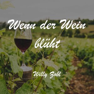 Wenn der Wein blüht