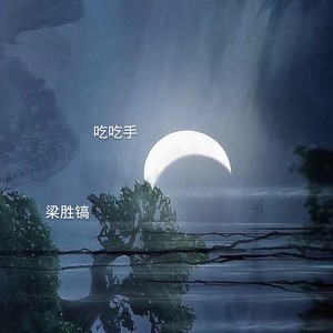 飞一样的感觉 (DJ版)