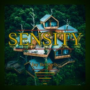 Sensity (Original Mix)