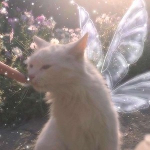 Жаль, что всё так поздно