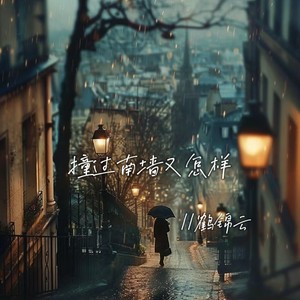 撞过南墙又怎样 (伴奏)