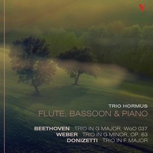 Trio for Flute, Bassoon and Piano in F Major - II. Allegro