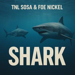 Shark (feat. Foe Nickel) (Explicit)