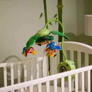 Flower Boy (Explicit)