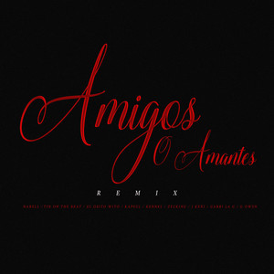 Amigos O Amantes (Remix)