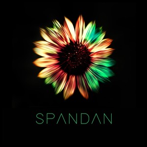 Spandan