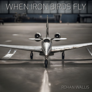 When Iron Birds Fly