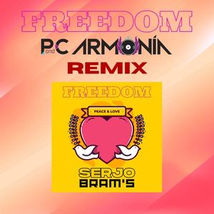 FREEDOM (feat. P and C Armonia) [P and C Armonia Remix]