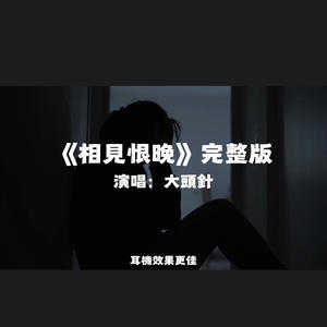 相見恨晚/大頭針