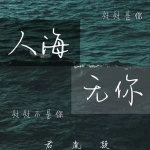 人海无你