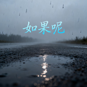 如果呢 (如果你也听DJ版)