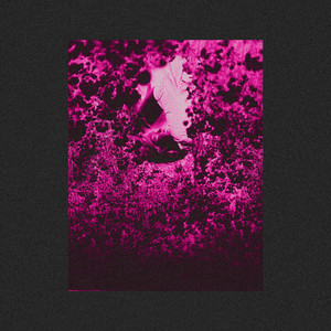 Punch Me In The ****ing Face (Explicit)