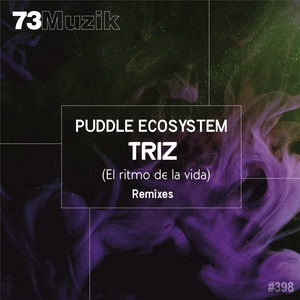 Triz (El Ritmo De La Vida) Remixes
