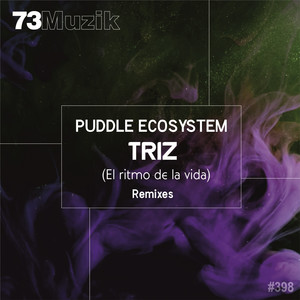 Triz (El Ritmo De La Vida) (Goontha Remix)