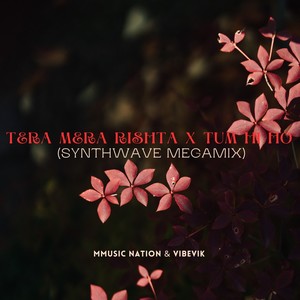 Tera Mera Rishta X Tum Hi Ho (Synthwave MegaMix)