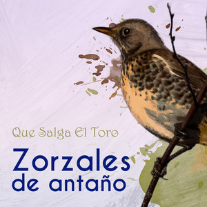 Zorzales de Antaño…Que Salga El Toro