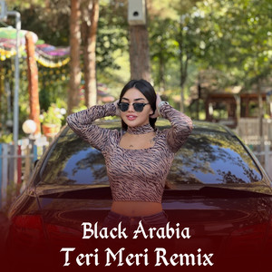 Teri Meri (Remix)