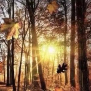 go (feat. emillio) (Explicit)